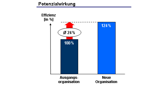 Effizienz der Organisationsmodellen