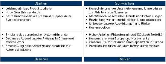 Ergebnisse der SWOT-Analyse (Auszug)